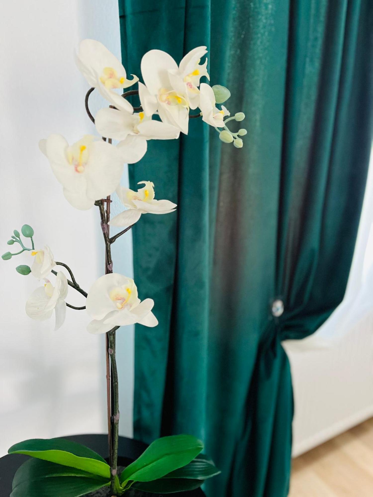 Apartamenty Przy Muzeum Gdańsk Extérieur photo