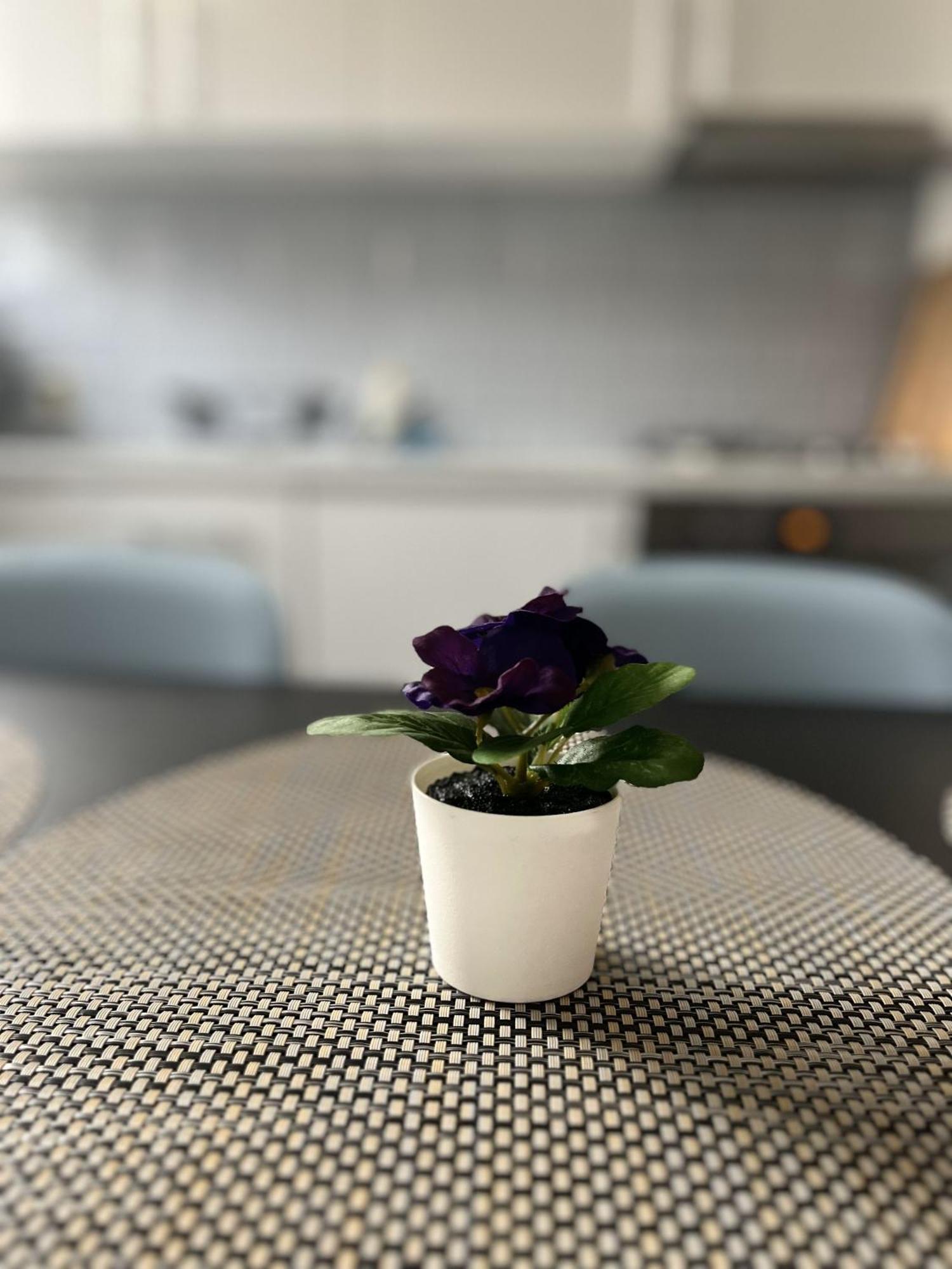 Apartamenty Przy Muzeum Gdańsk Extérieur photo